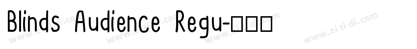Blinds Audience Regu字体转换